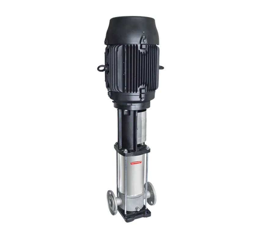 Motobomba Schneider VME 20
